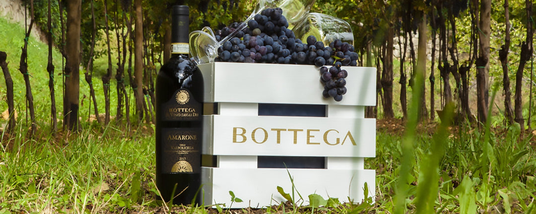Discover Our Amarone della Valpolicella DOCG