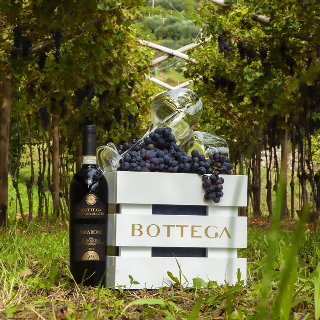 Amarone della Valpolicella DOCG